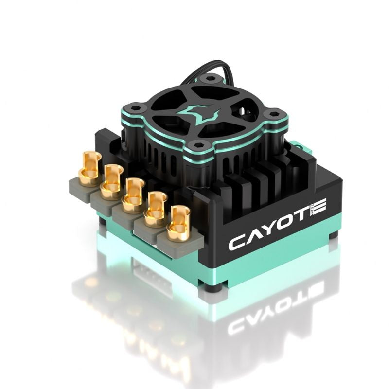 CREST RS120 Brushless ESC Competition sensored CAYOTE for 1/10